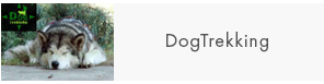 7-dogtreking