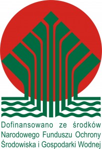 logo_kolor_dofinansowano