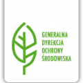 featured image INFORMACJA DOT. NOWYCH PRZEPISÓW W ZAKRESIE WYCINKI DRZEW