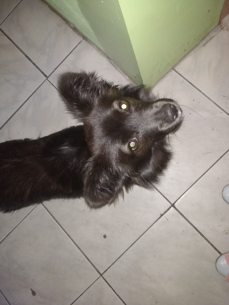 IMG_20170731_122501644