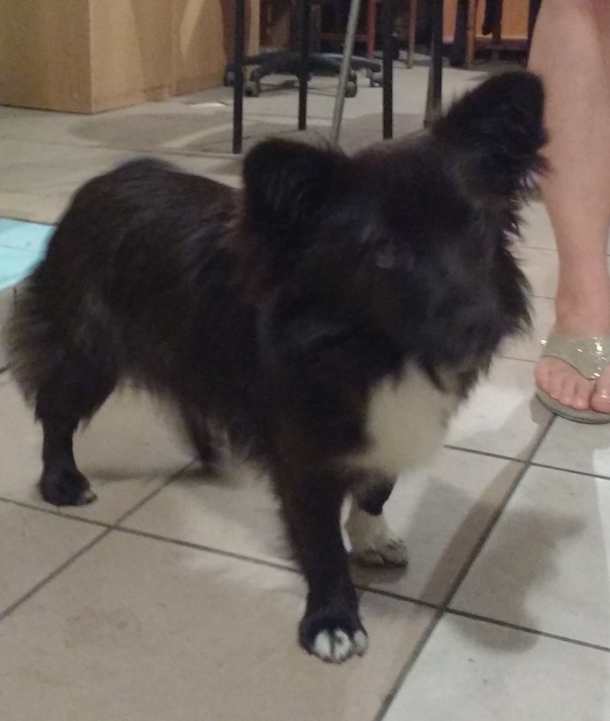 IMG_20170731_122540035