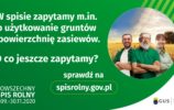 o co zapytamy w spisie