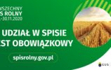obowiązek spisowy