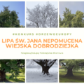 featured image Konkurs Europejskie Drzewo Roku